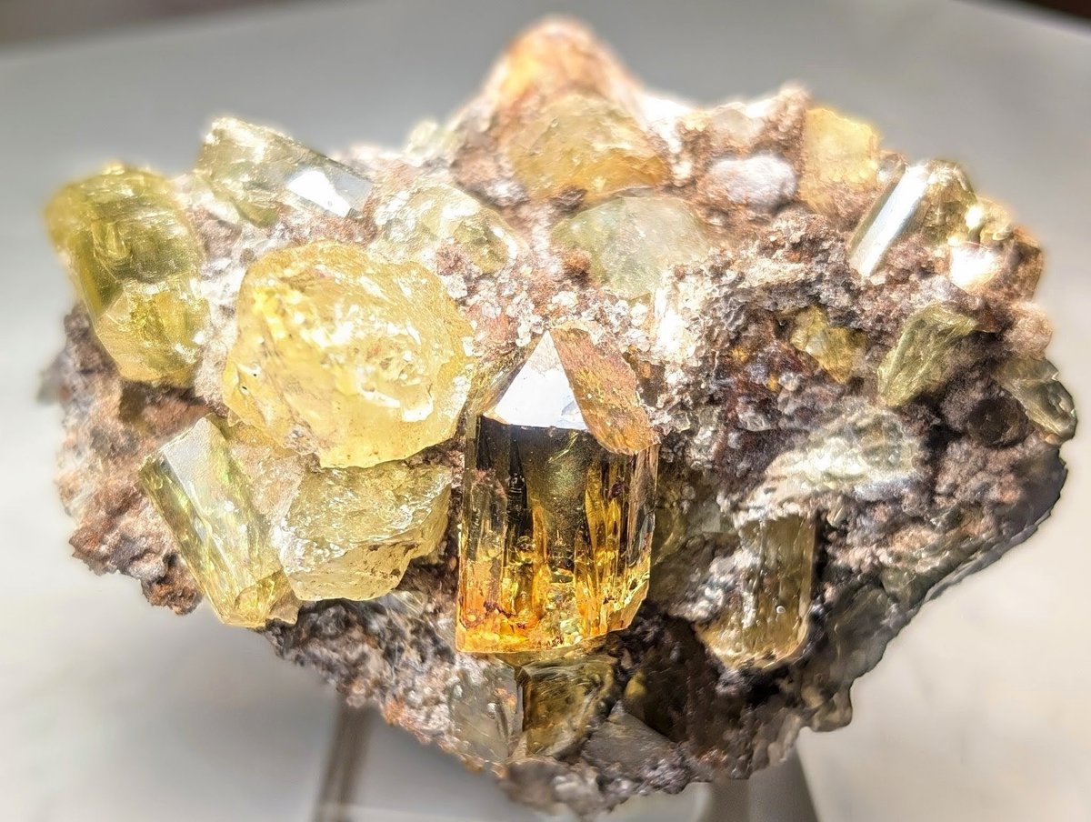 雪⛰️国 tweet media