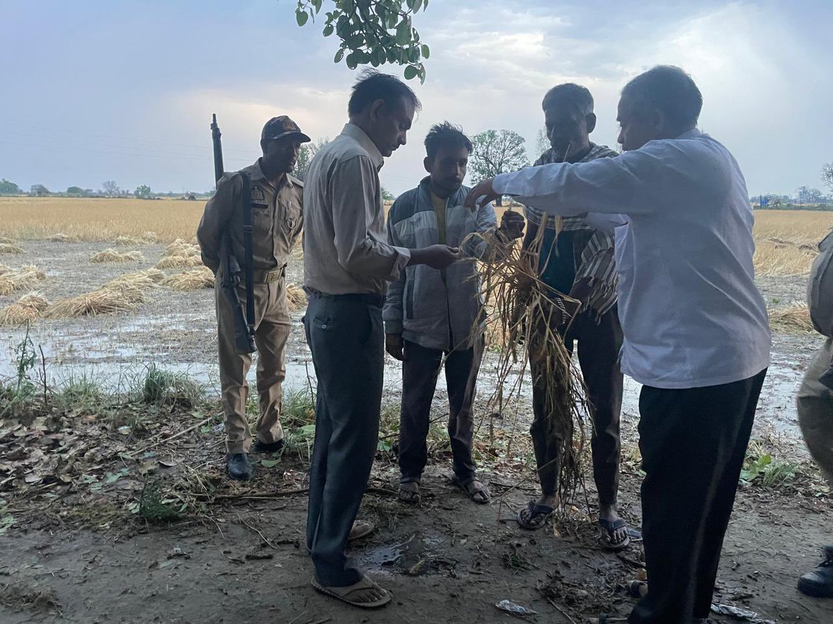 DM Jalaun tweet media