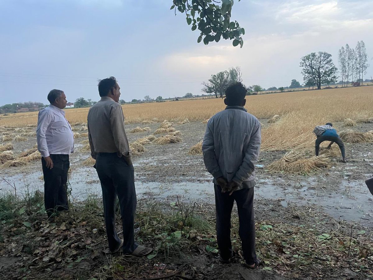 DM Jalaun tweet media