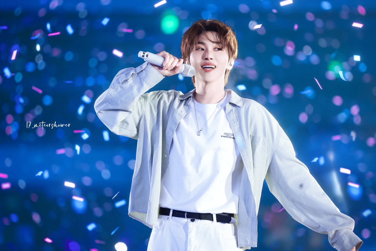 17_meteorshower tweet media