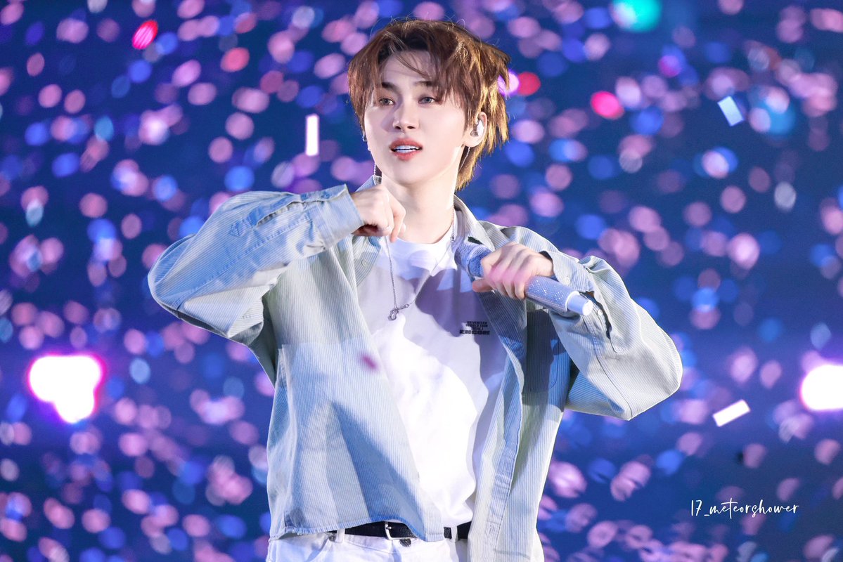 17_meteorshower tweet media