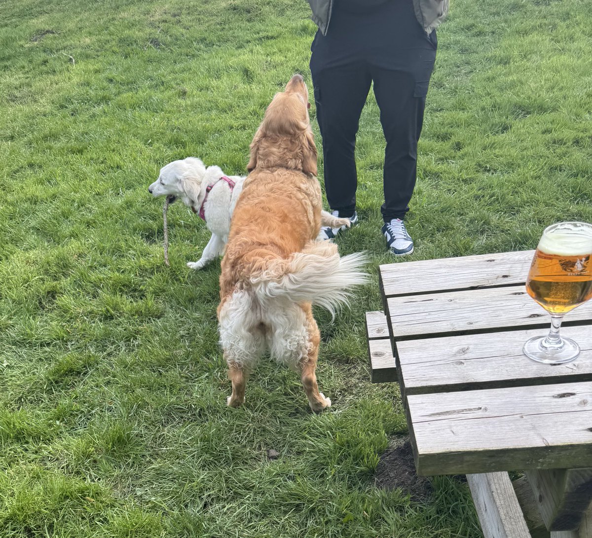 TheMoustacheCop tweet media