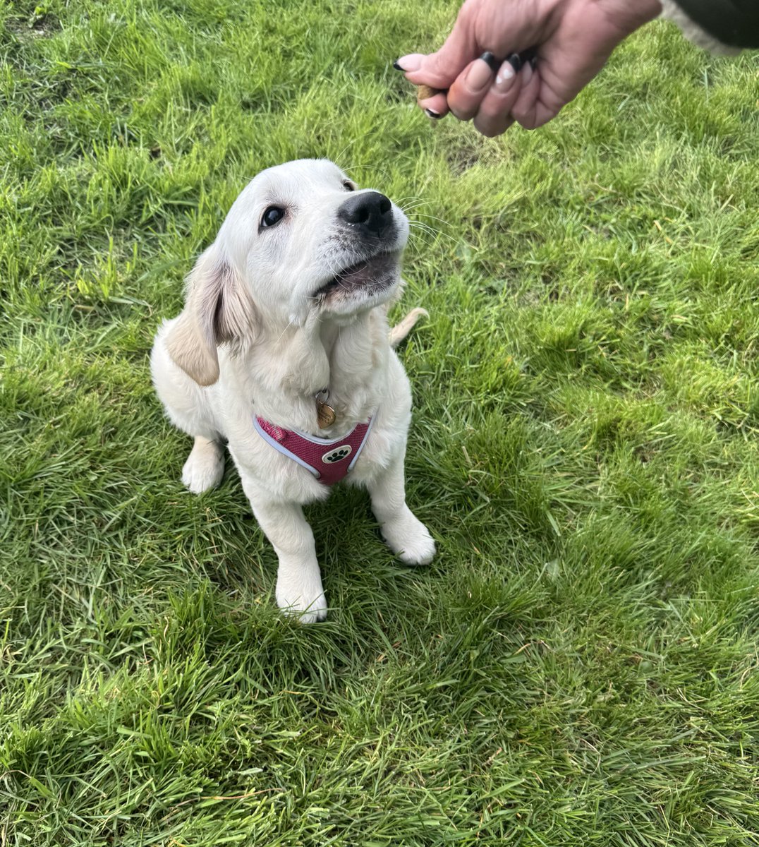 TheMoustacheCop tweet media