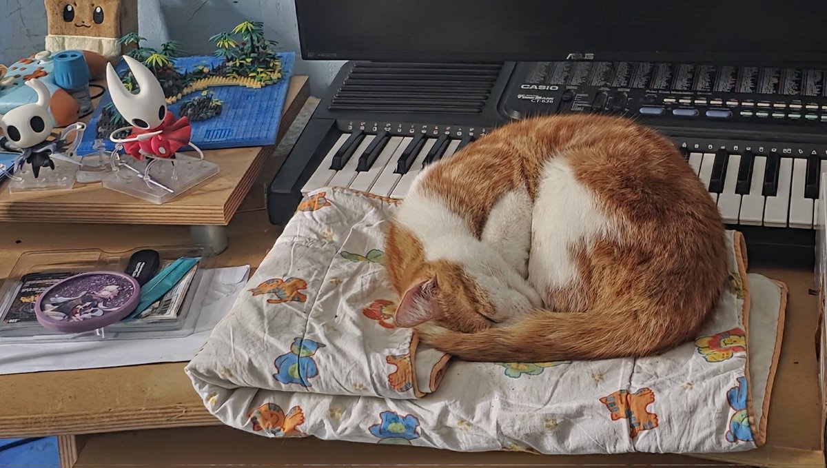 IruOota's tweet photo. Soo small self intro followed by cat thread
I'm Oota
I'm 22
I like novels, games and rock climbing (haven't done it in a while tho)
I recently started learning piano, and biggest of all : I'm French.
Now that thats done, cat. https://t.co/AlBu9AO0ah