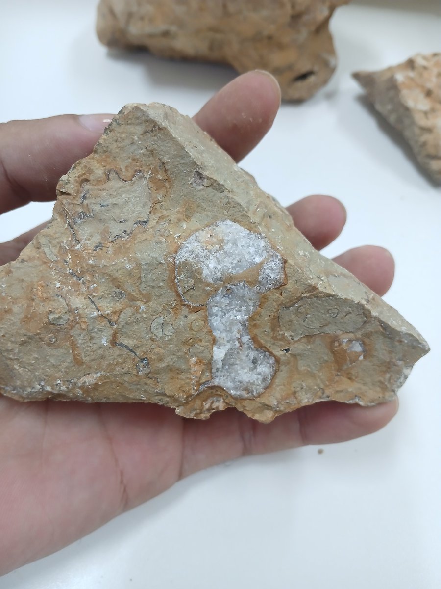 J.L.S.N 🇧🇷 tweet media