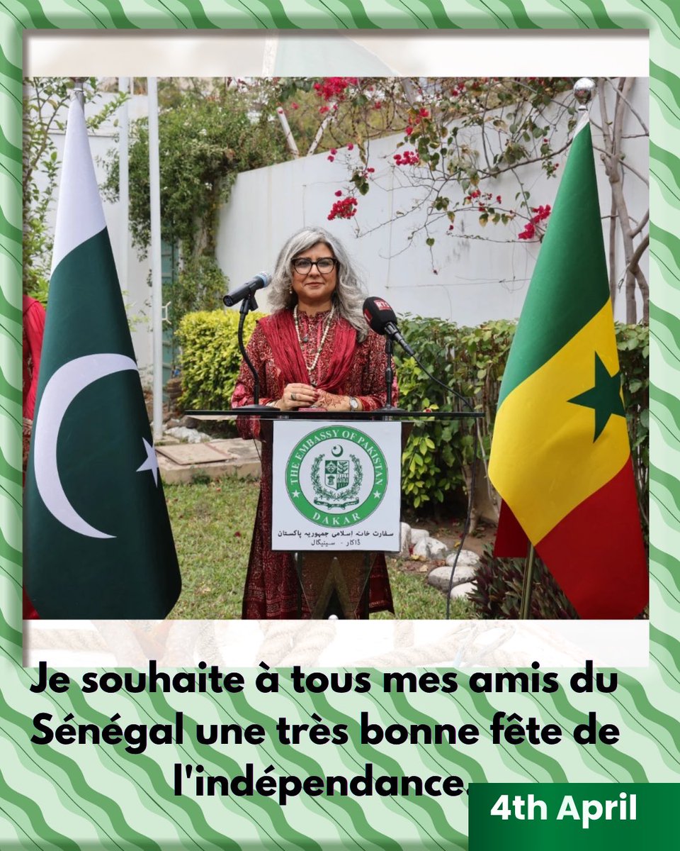 Saima Maymunah Sayed tweet media