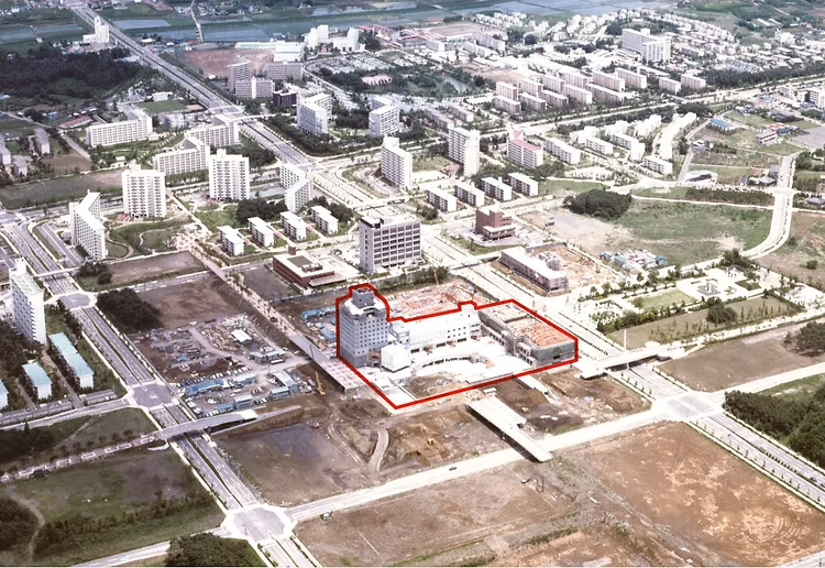 ゴーダ tweet media