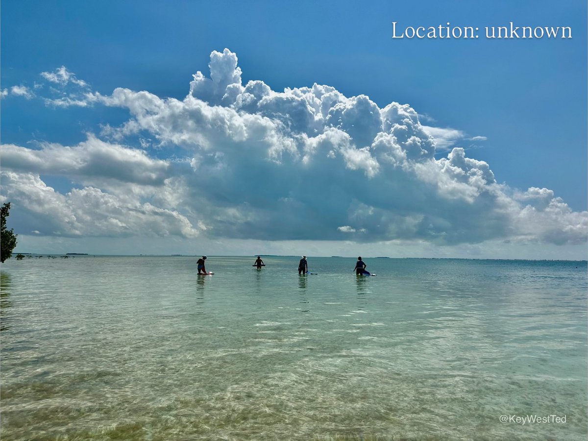 KeyWestTed's tweet photo. 🌴 The Other Side of the Sandbar 🌴

You know the ones… packed boats, music everywhere, chaos in every direction.

And then there’s this. This is how I “Key West.”

You Should Be Here, 🐓KWT🐓

#youshouldbehere #keywest #keywestted https://t.co/1EV9cdBPnH