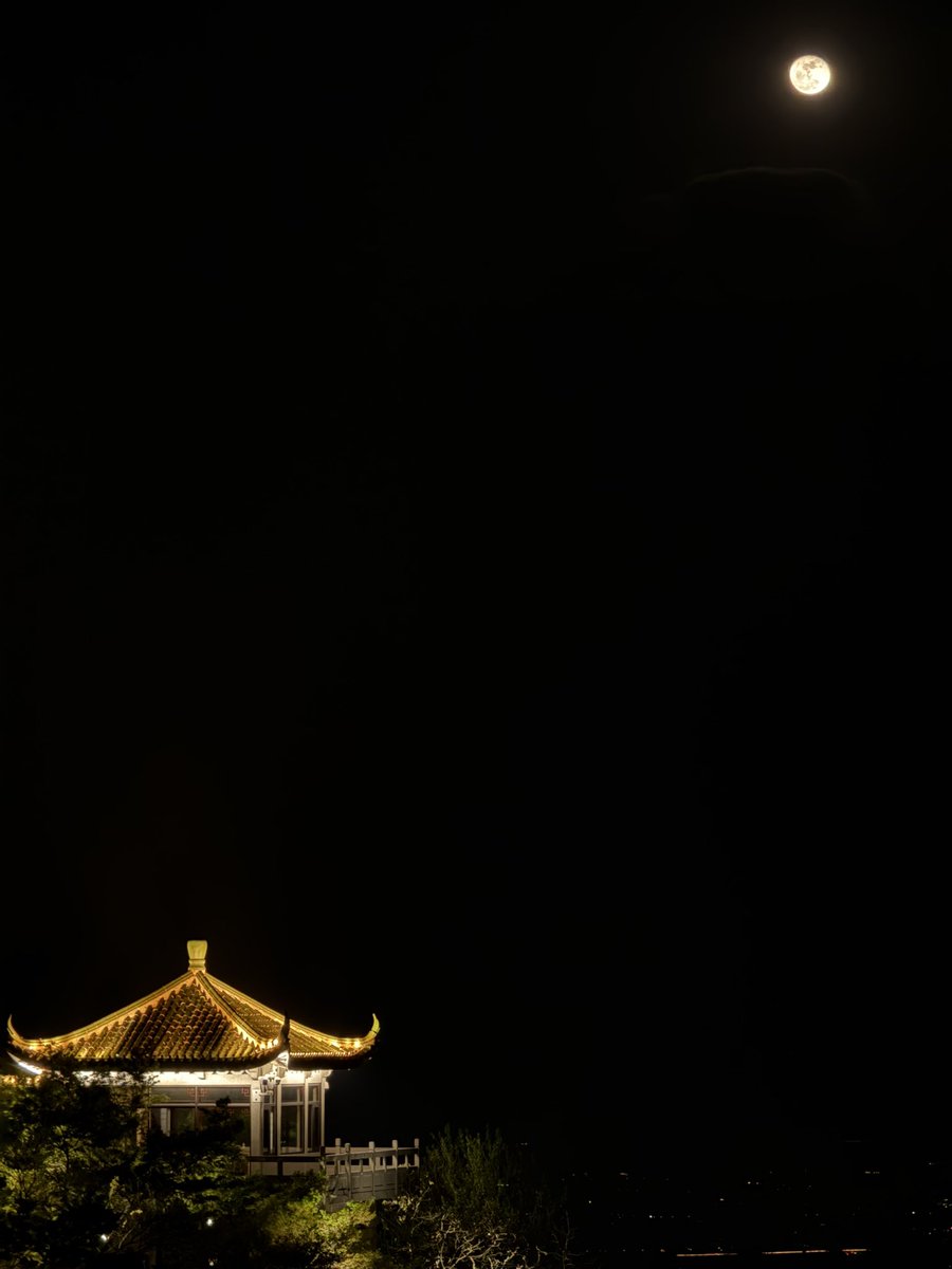 虎王Toraoh tweet media