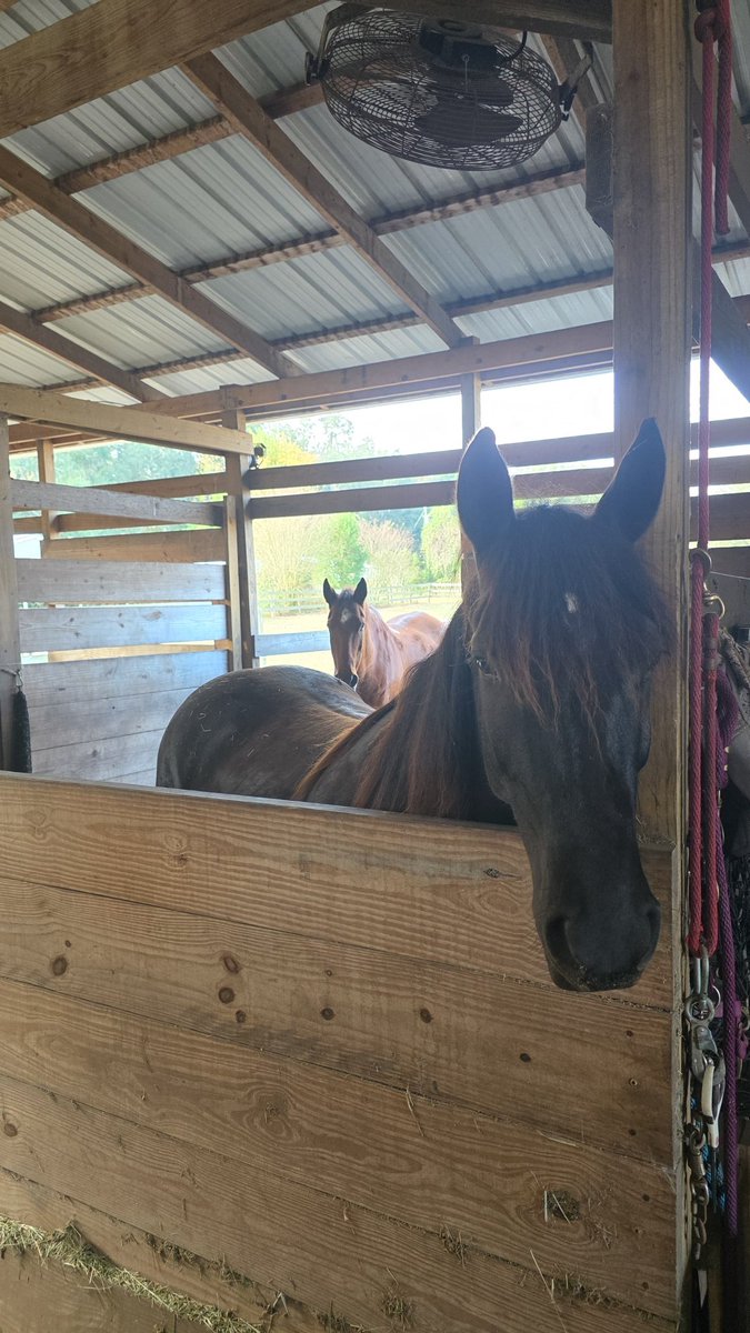 Kommvict 🇺🇸 tweet media