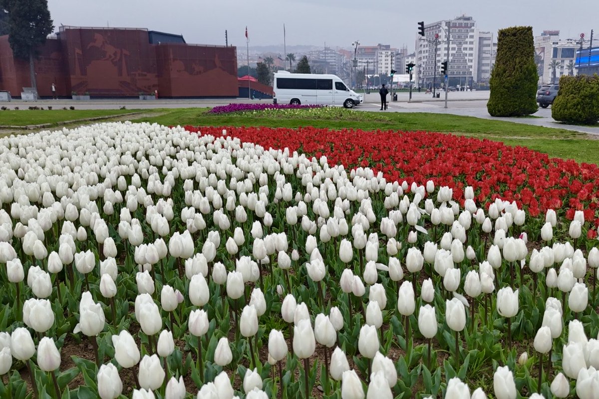 Samsun Büyükşehir Belediyesi tweet media