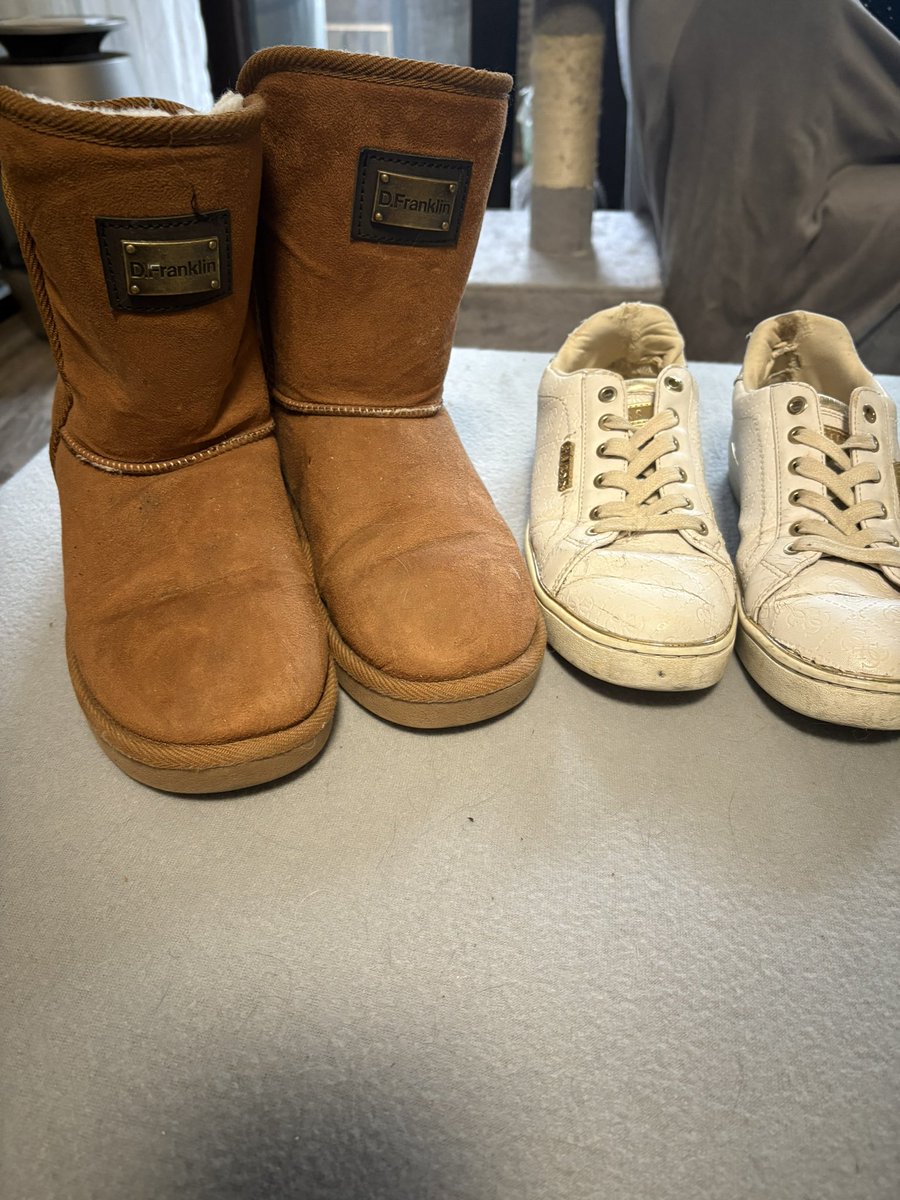 Empress Izabella die Schweinepriesterin OFFICIAL tweet media