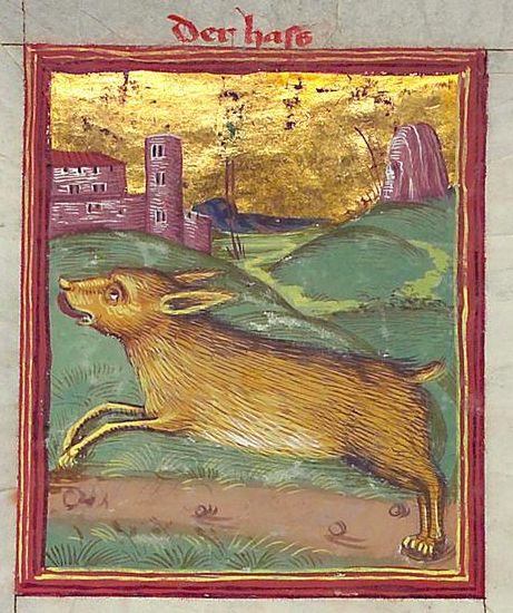 KopalniaWiedzy.pl tweet media