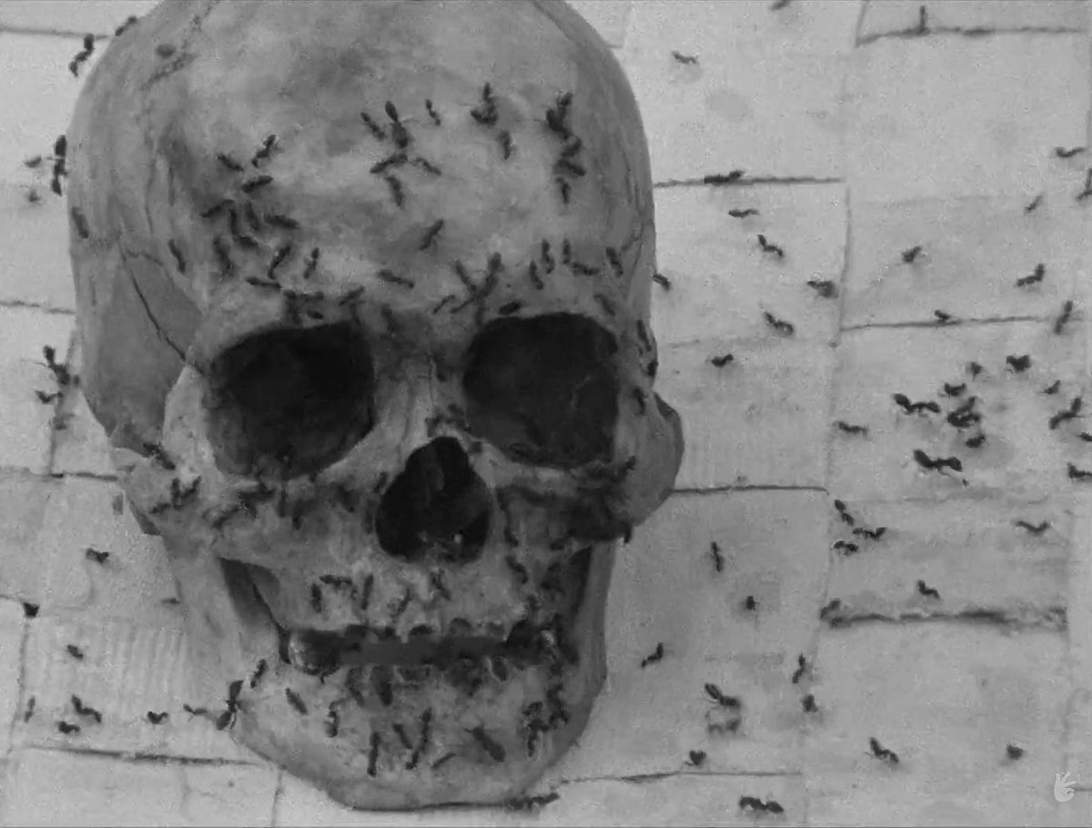 X-Ray Eyes  tweet media