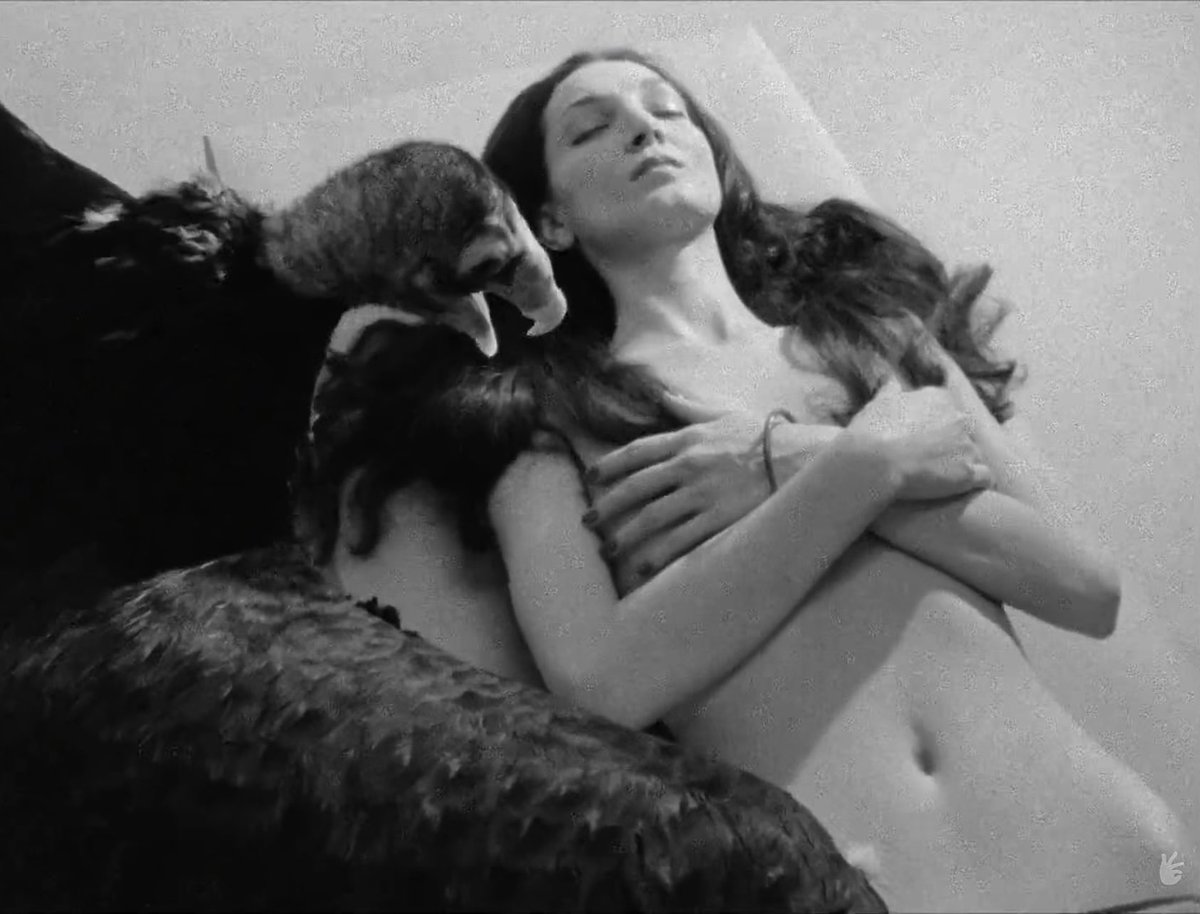 X-Ray Eyes  tweet media