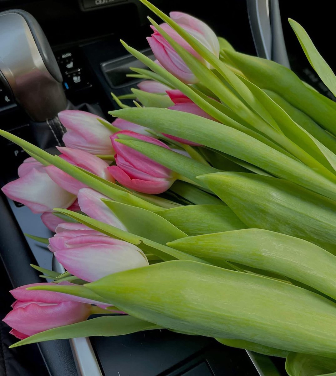 Nature & Human tweet media