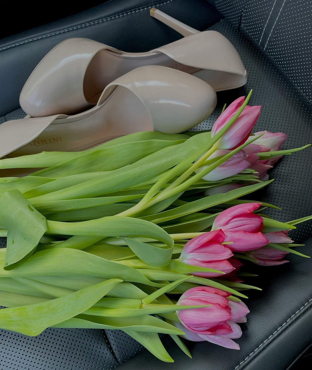 Nature & Human tweet media