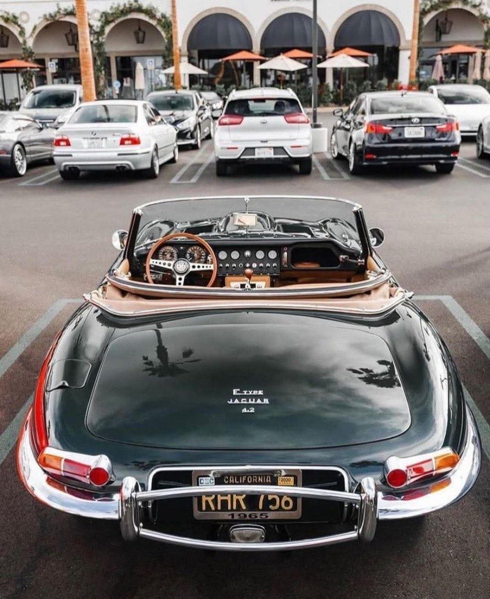 lux life tweet media