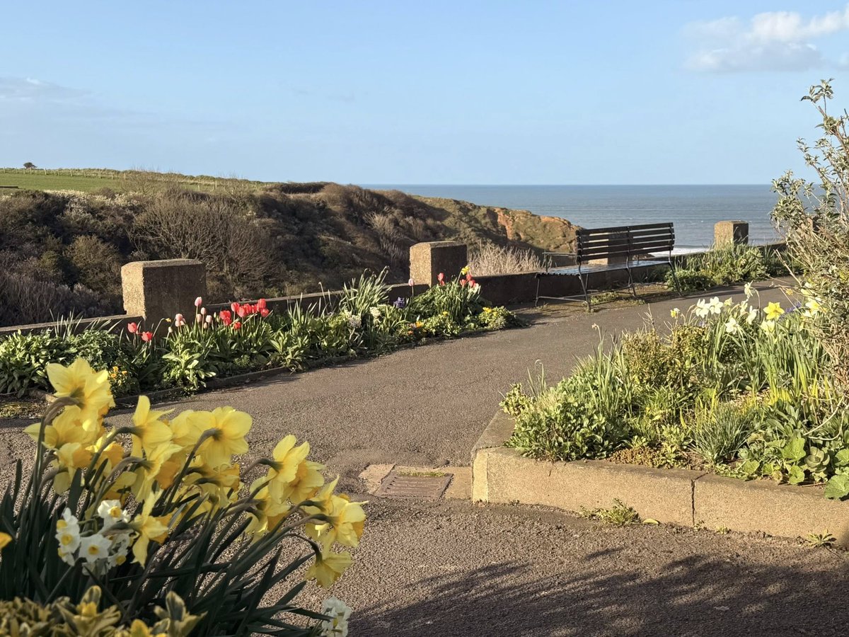 #vss365 #sand

Whispers in the stems,
Stars and breaths of petals, sent~
To the sunlight of the sand and sea,
My home, my heart..of serenity,

#poetrycommunity 

Pic my own,