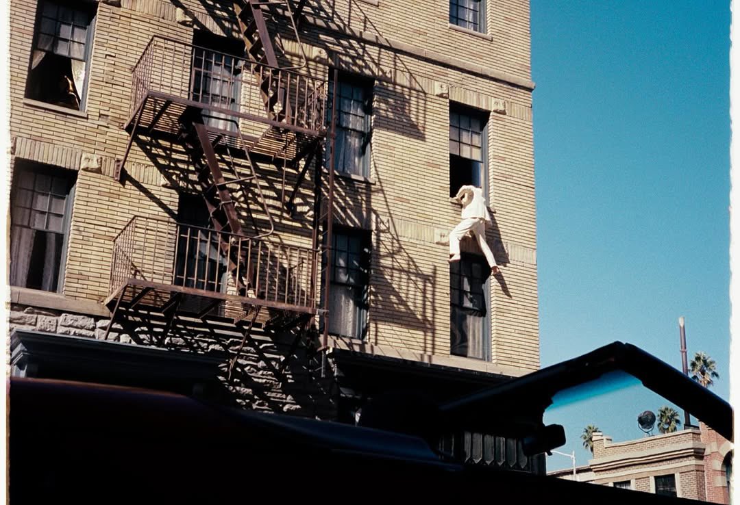 Portal Djo Brasil tweet media