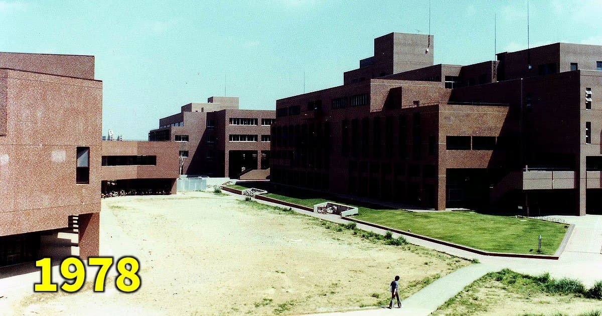 ゴーダ tweet media