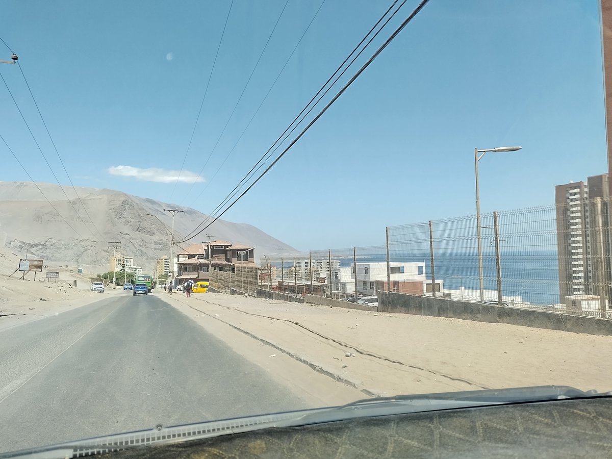 Eddo 🌵☀️ tweet media