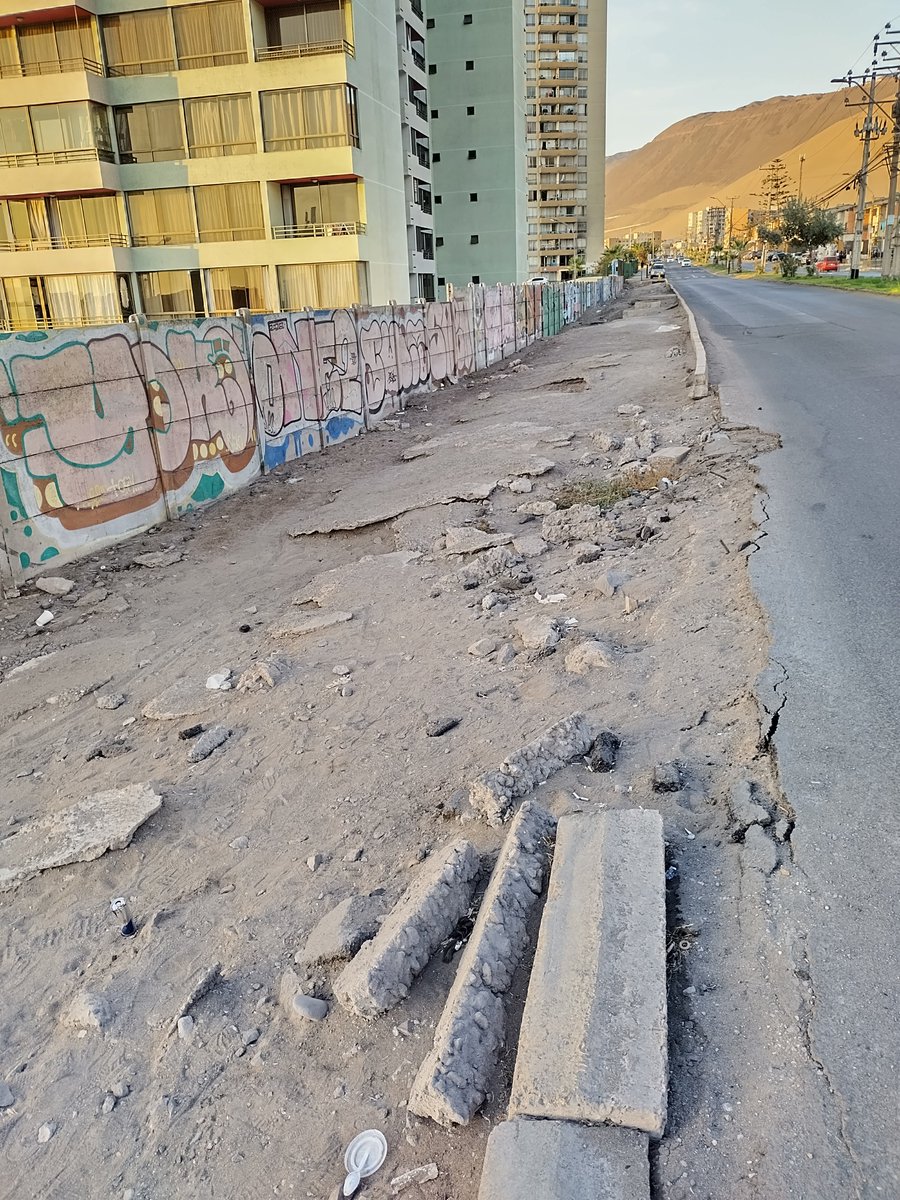 Eddo 🌵☀️ tweet media