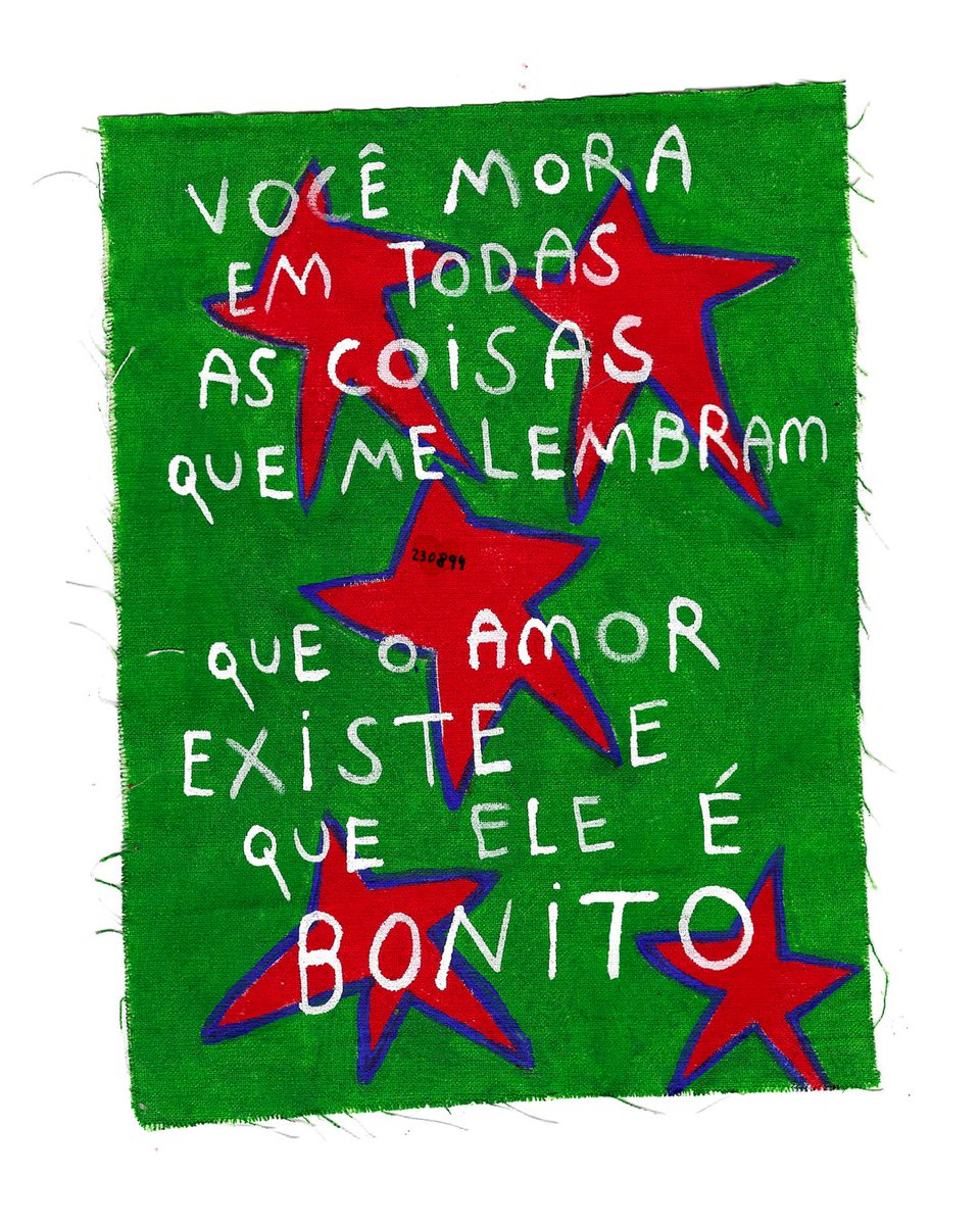 carolzão tweet media