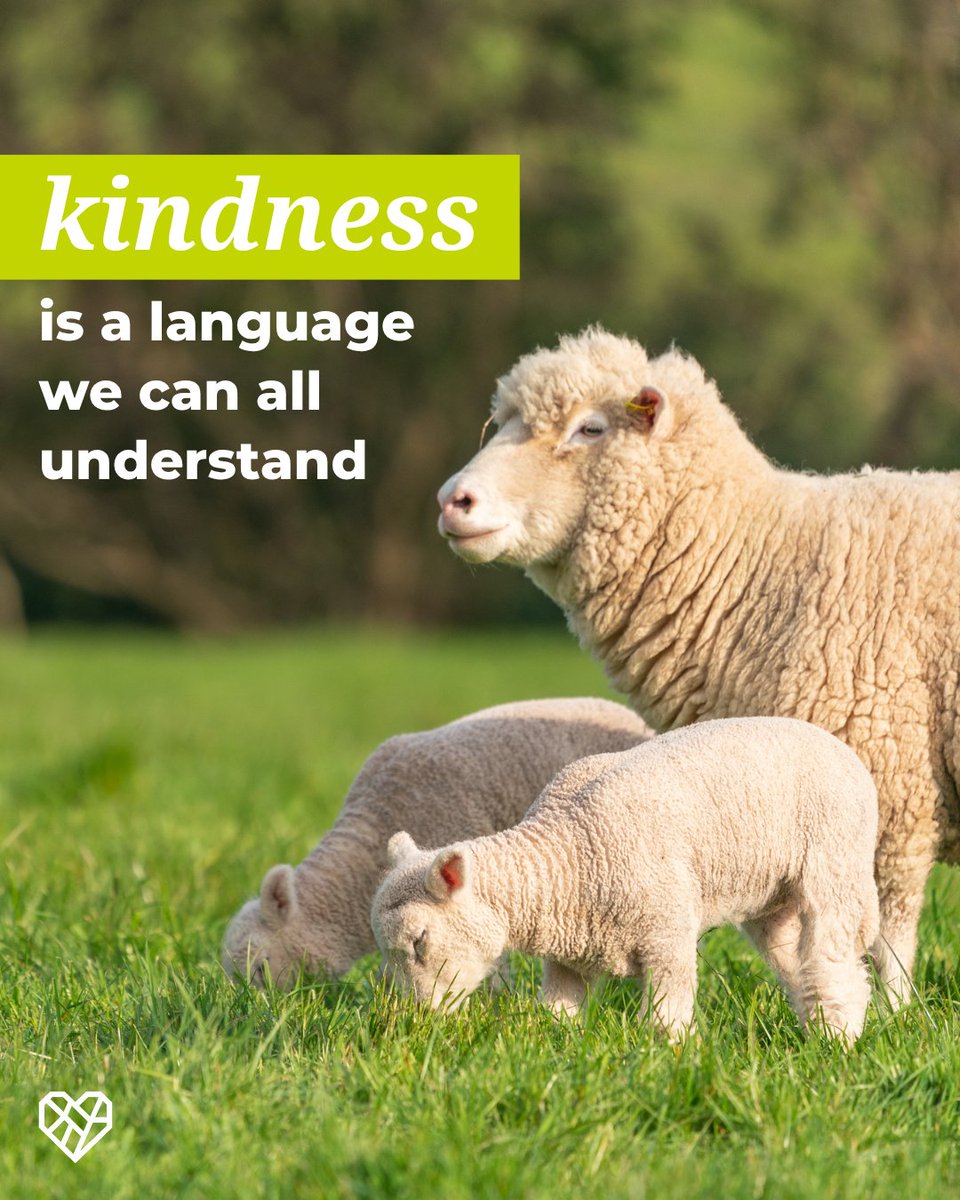 The Humane League UK tweet media