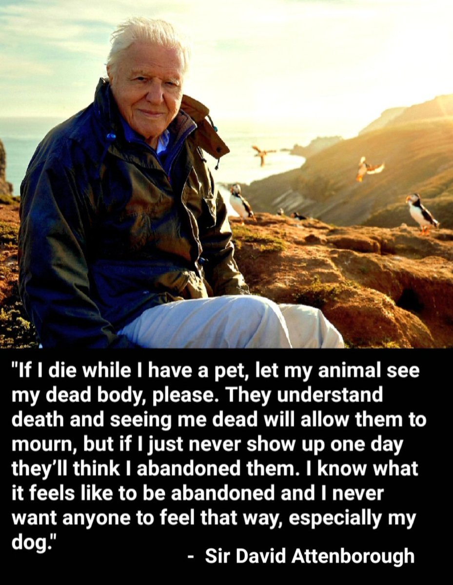 Thursday tweet media