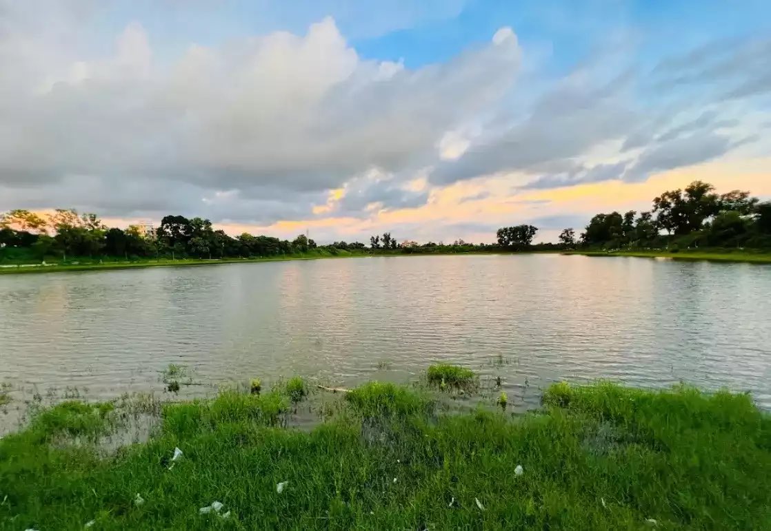 внυιуαη tweet media