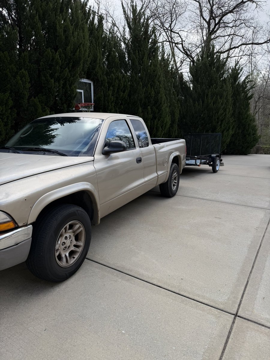 Macaiyla tweet media