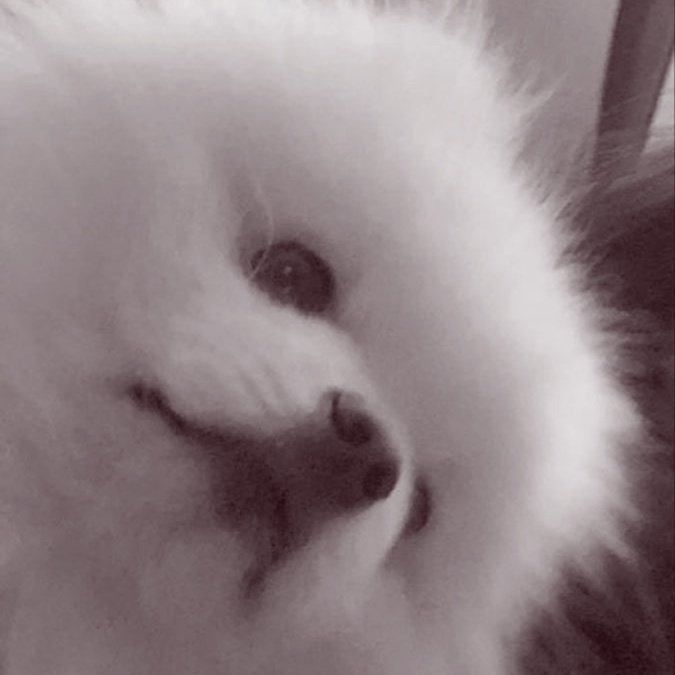 CLARABELL HALE. tweet media