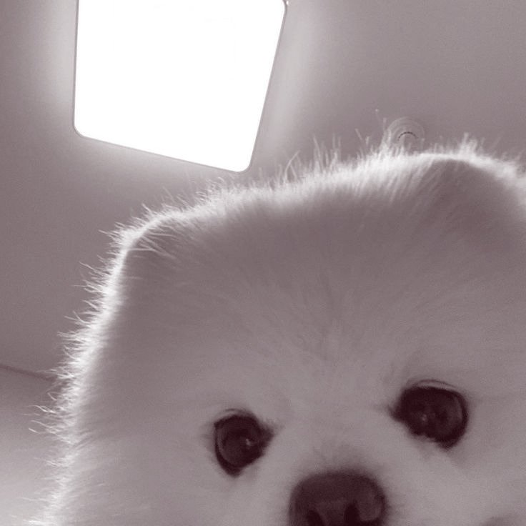 CLARABELL HALE. tweet media