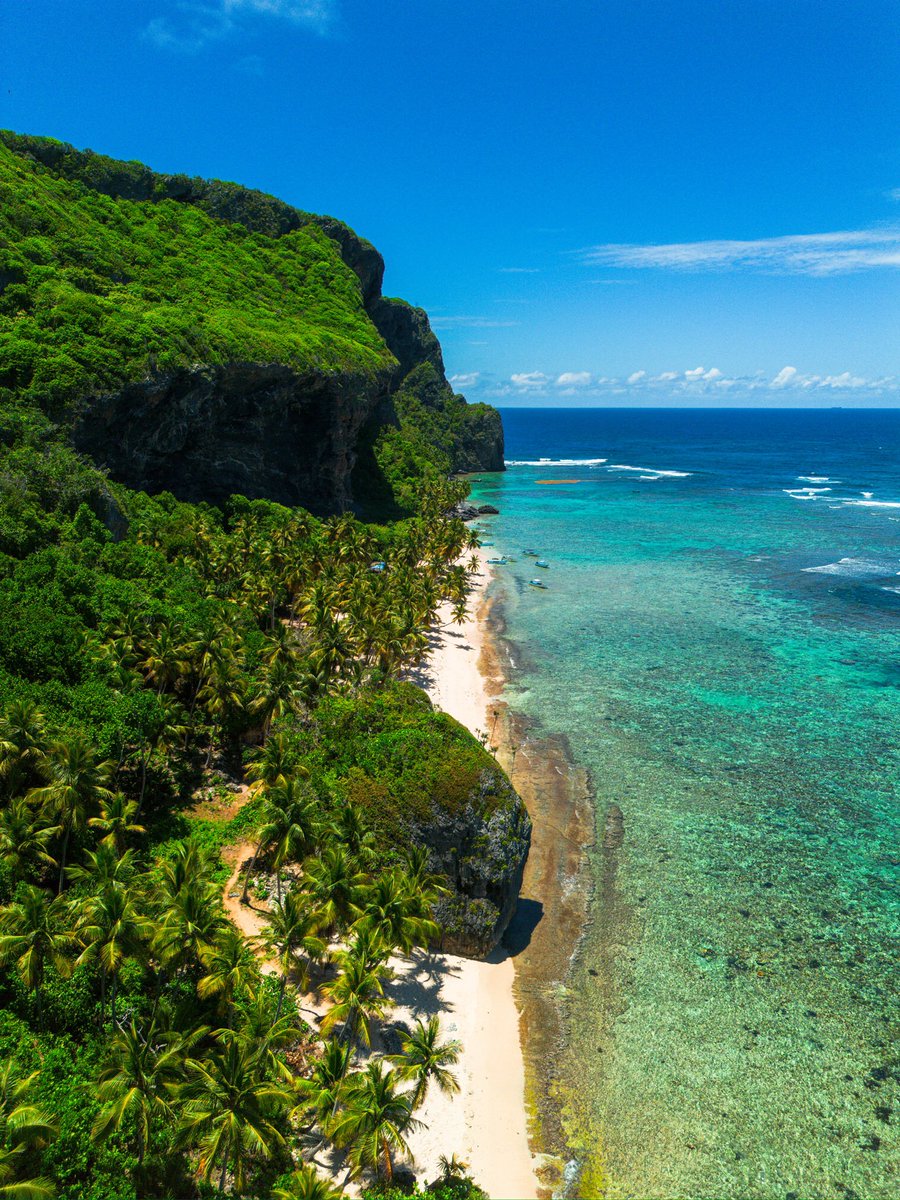 AbelVlogsRD's tweet photo. En Samaná hay un sendero, que está incluso marcado en Google Maps, que te lleva directamente a Playa Frontón. 

La gente suele ir en barco pero no sabe que también es posible hacerlo a pie. Son 9kms de ida en un terreno todo plano con mucha vegetación https://t.co/Ao4HKmBcWe