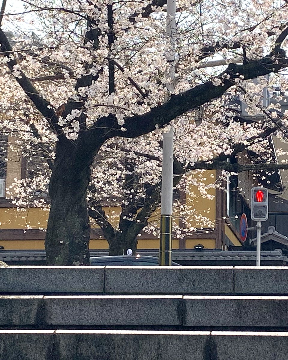 ゆう（建築すき） tweet media