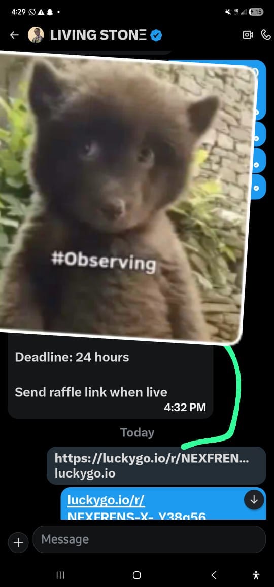 Boychase tweet media