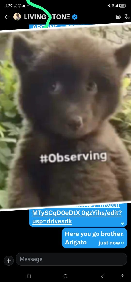 Boychase tweet media