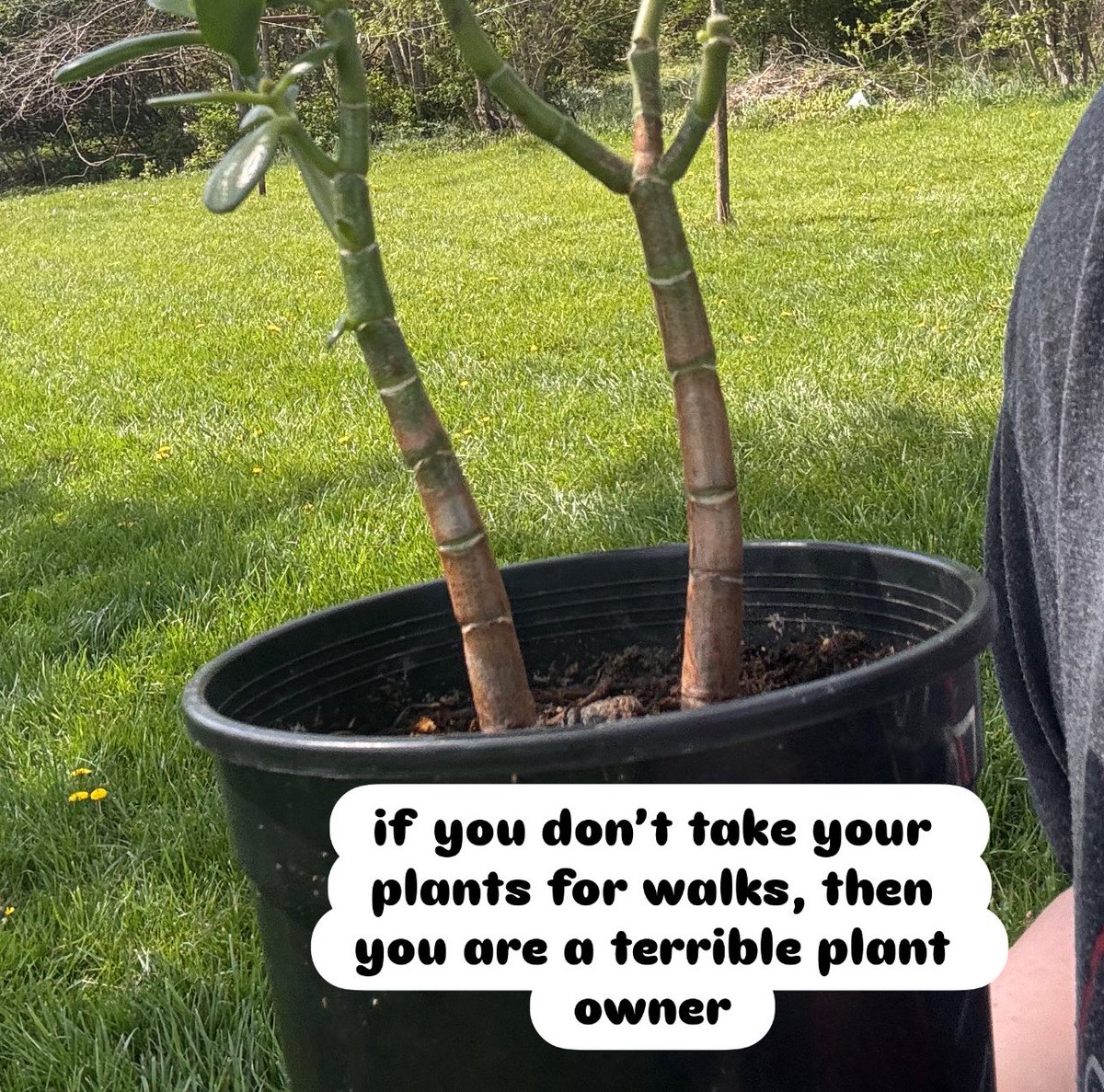 spawn -💤 tweet media