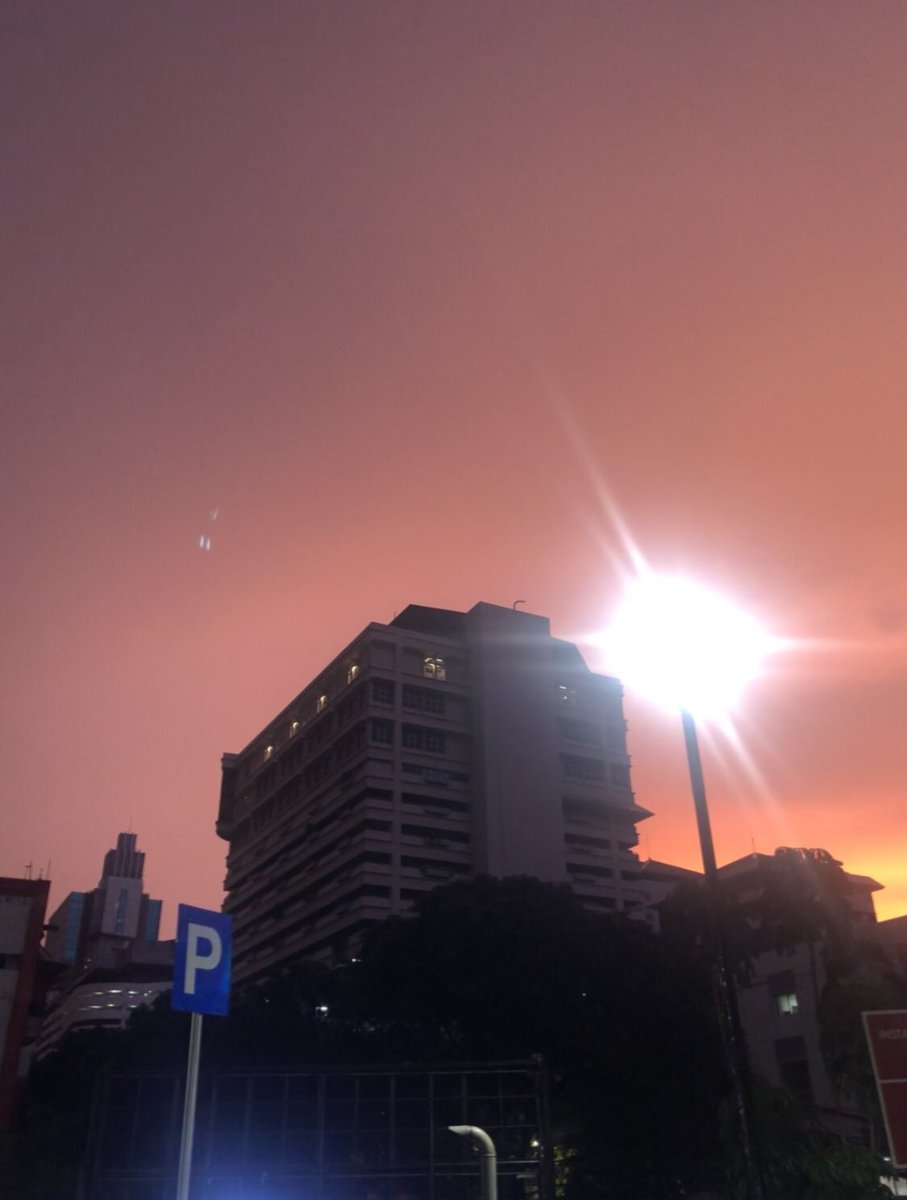 emi ᥫ᭡ tweet media