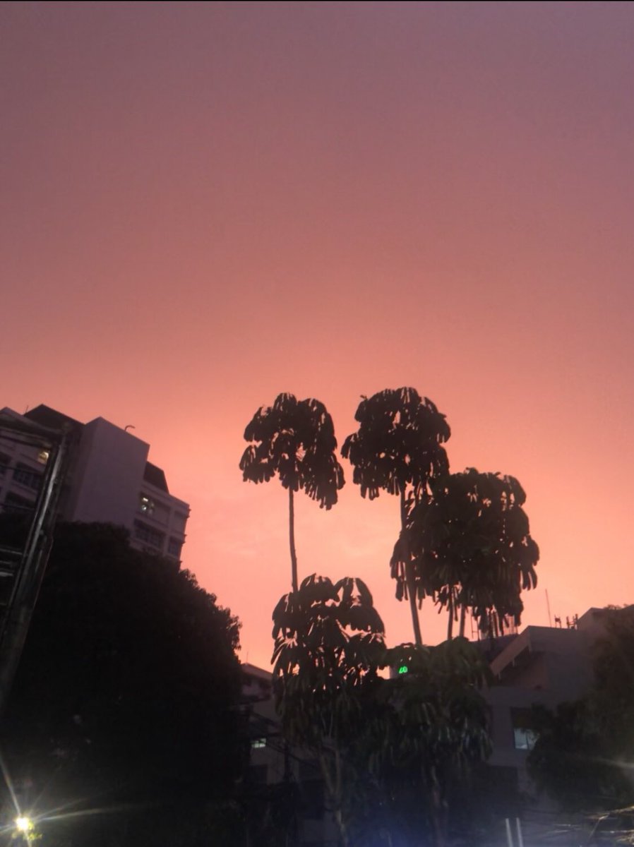 emi ᥫ᭡ tweet media