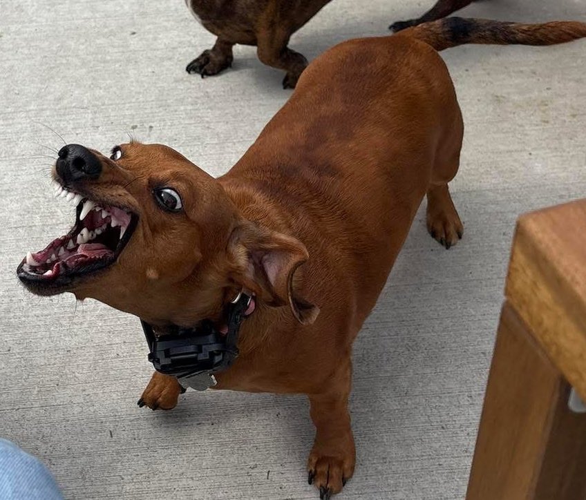 ↫ 𝐃𝐑 𝐒𝐓𝐄𝐕𝐈𝐄 𝐍𝐀𝐒𝐇 .ᐟ tweet media