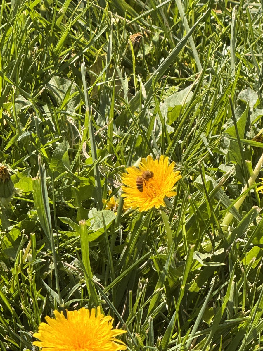 spawn -💤 tweet media