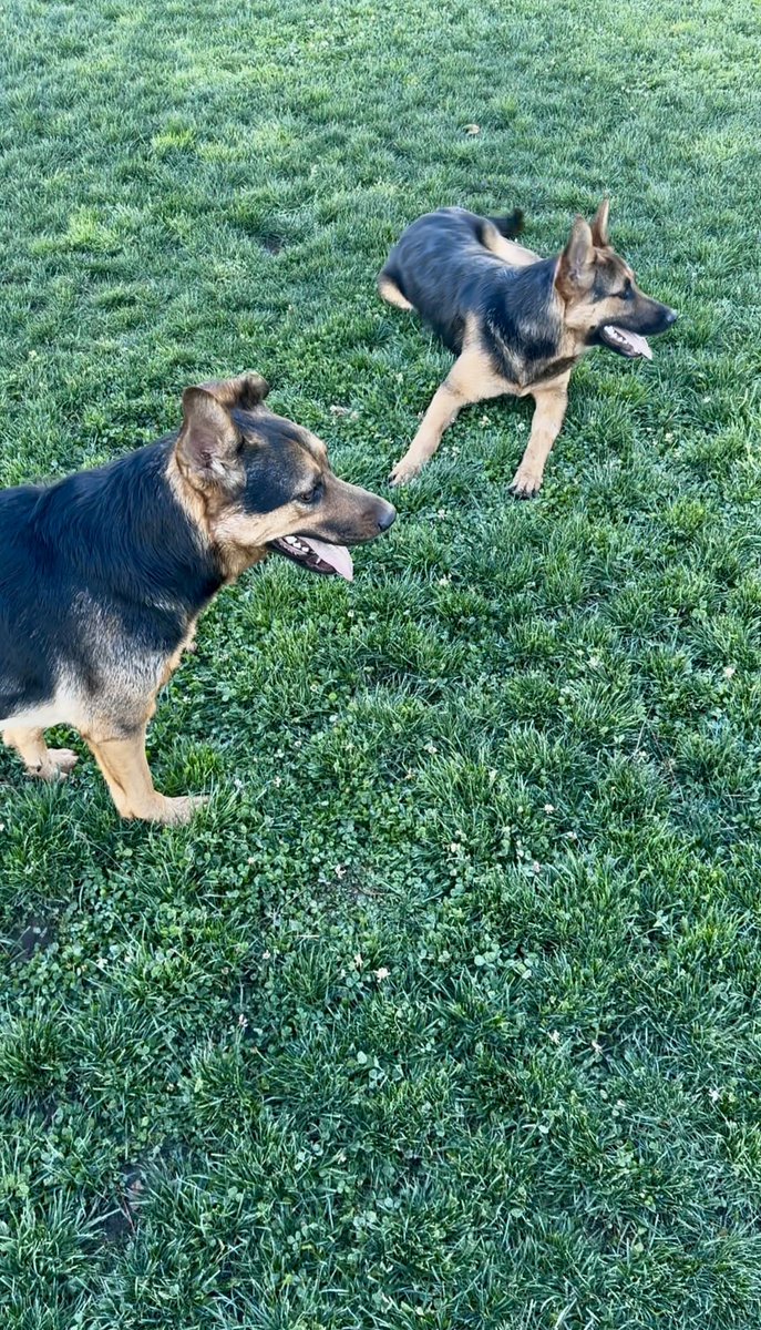 💫 Supernova 💫 tweet media