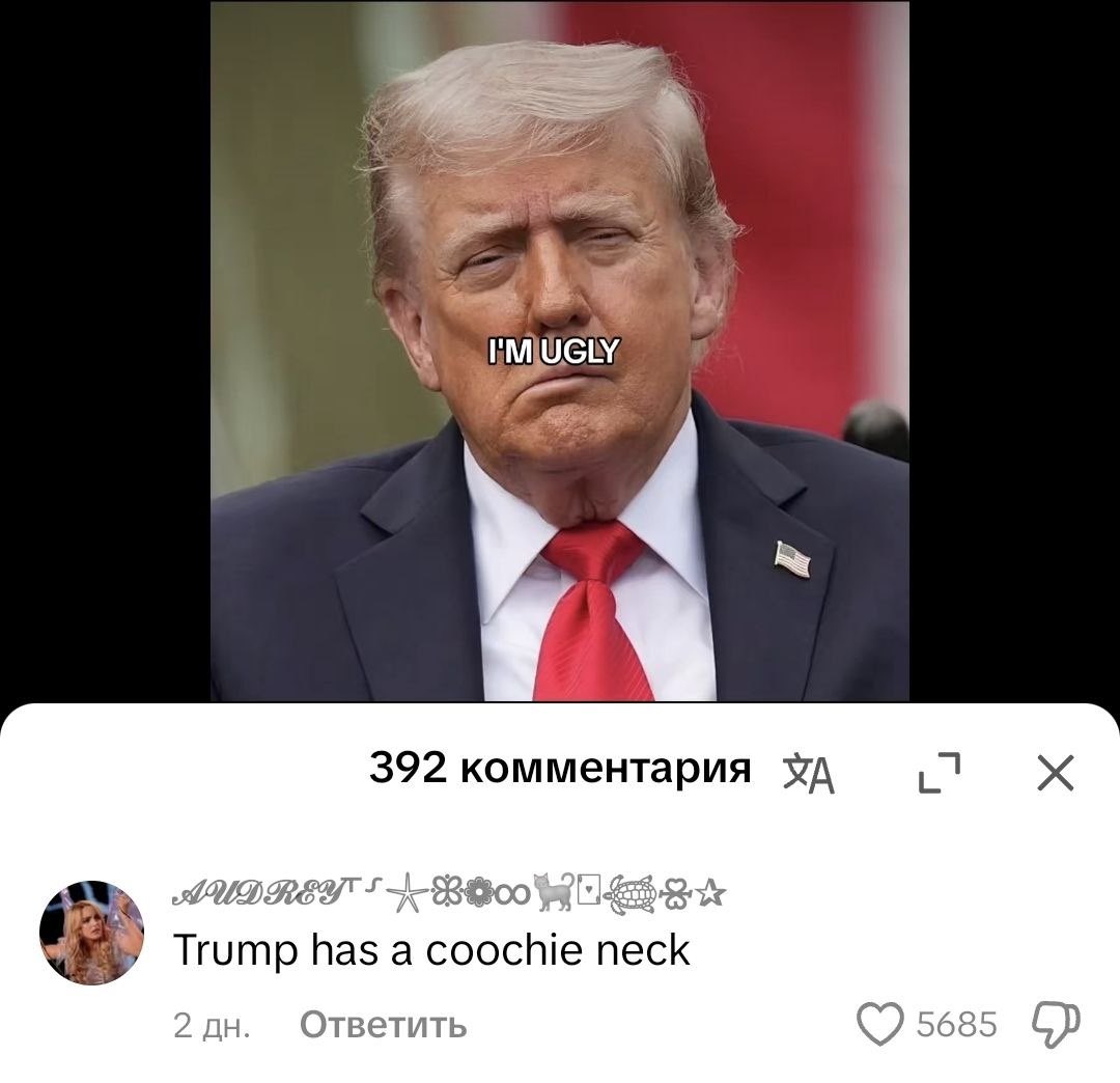 шишибарка tweet media