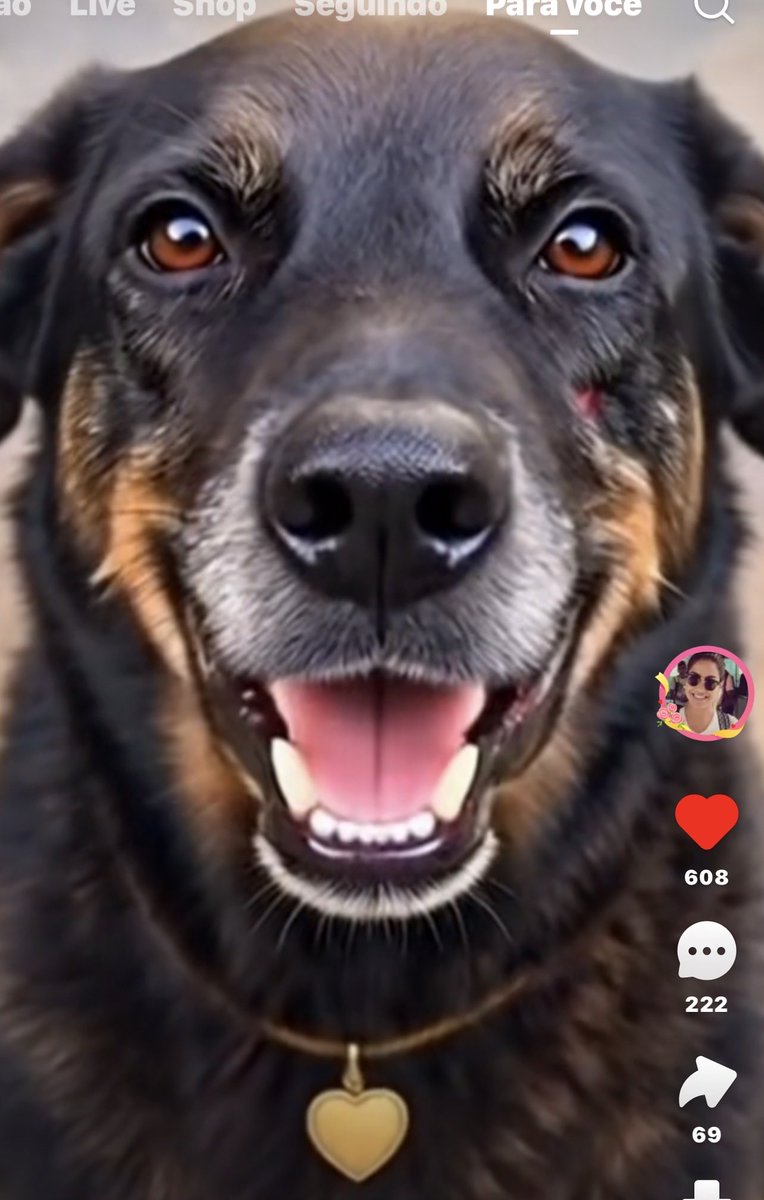 America Bolsonaro tweet media