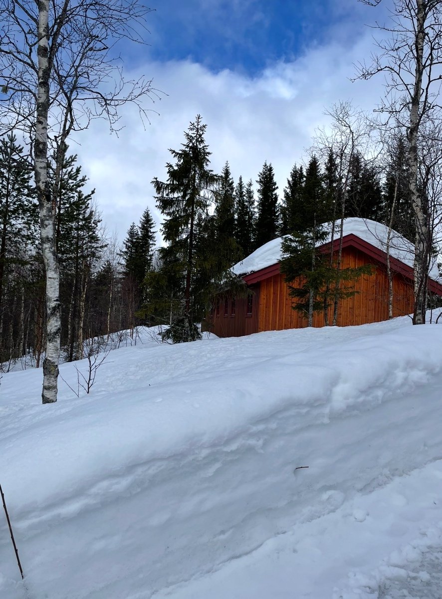 𝚘𝚕𝚍 𝚜𝚘𝚞𝚛 𝚐𝚛𝚊𝚙𝚎𝚜 tweet media