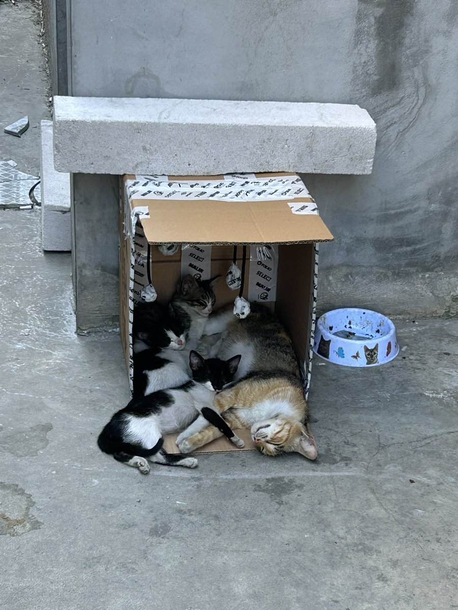 Seda 🎩 tweet media