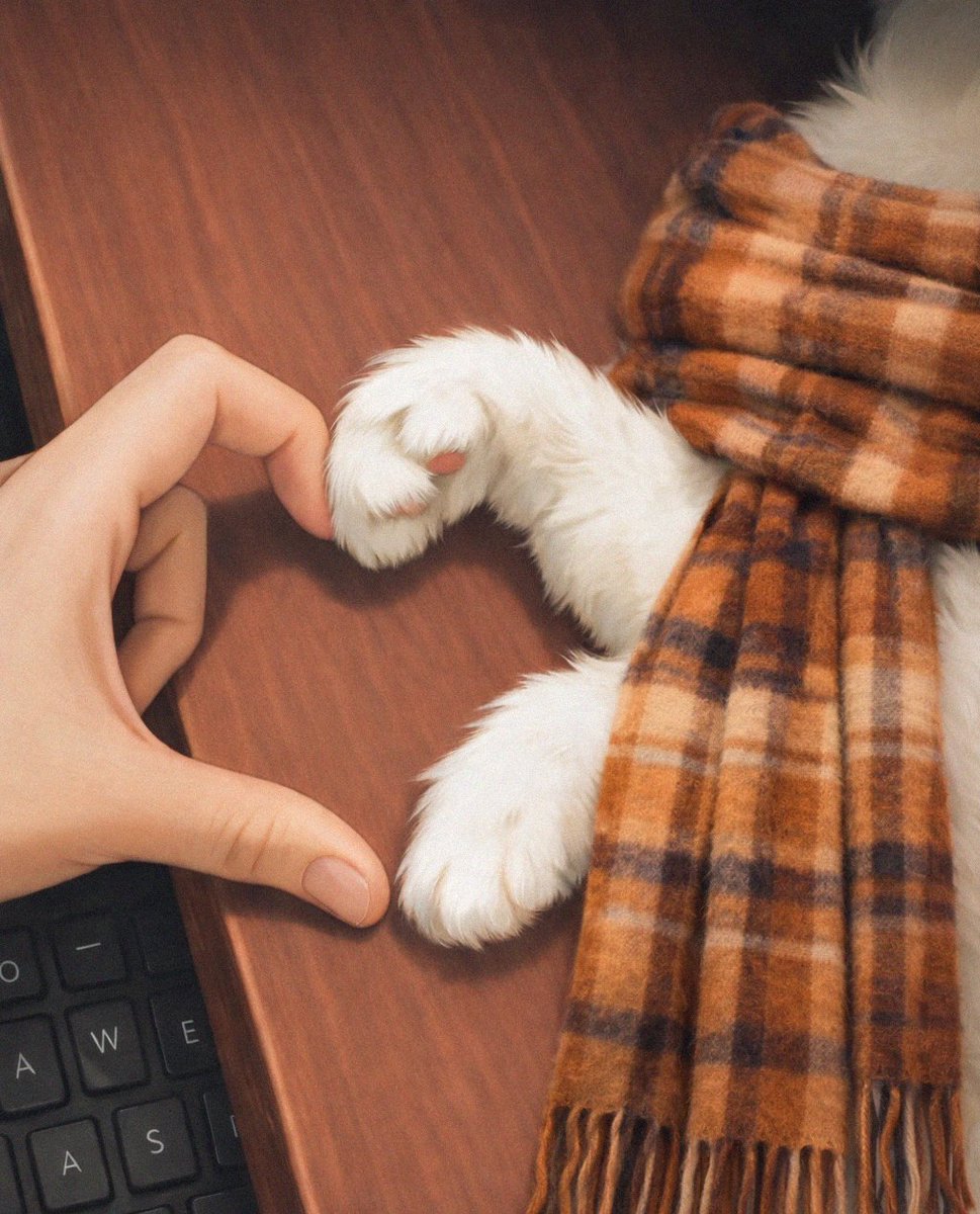 WORDSLIKERAD (Afk) tweet media