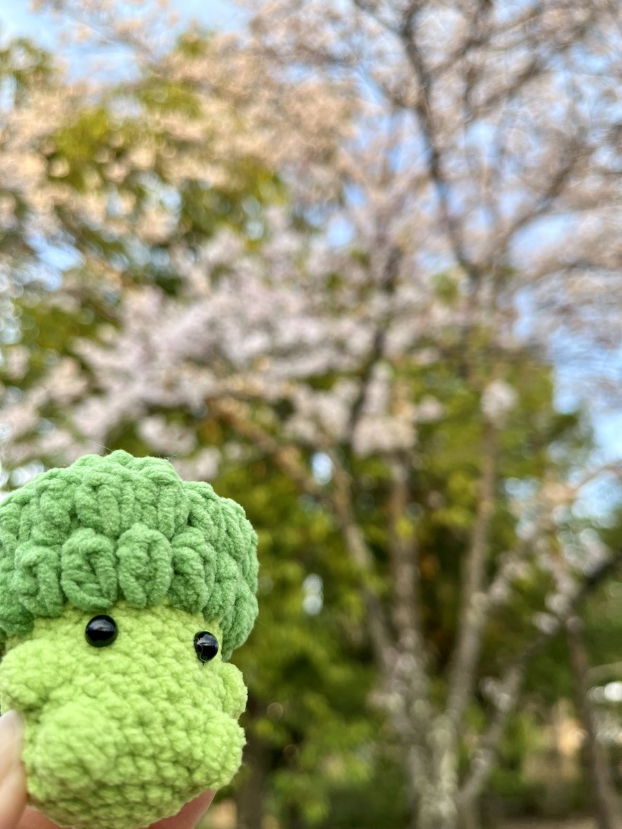 サボチャン🥑 tweet media